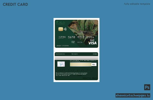 Beispielvorschau der Visa-Karte der Angola Commercial Bank